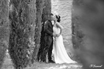 Photographie de mariés à Saint saturnin les apt en noir et blanc dans une alllee de cyprès réalisée par noellle gamand, photographe de mariage dans le vaucluse Avignon Sorgues Caumont sur Durance