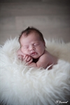 photographie d'un nouveau né fille dans un fourure blanche réalisée par noelle gamand photographe nouveau né avignon vaucluse
