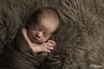 photograpgie d'un nouveau né endormi dans un wrap marron réalisée par noelle gamand photographe nouveau né avignon vaucluse